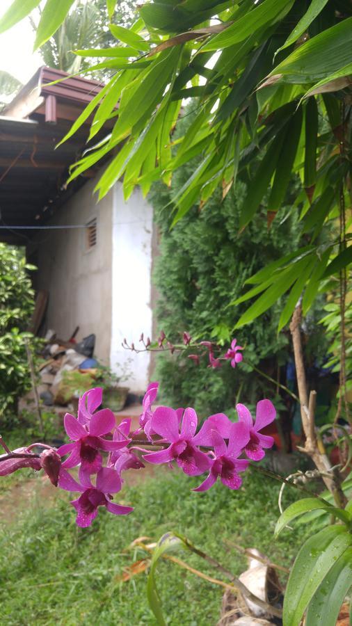 Ananda Home Stay And Restaurant Tangalle Kültér fotó
