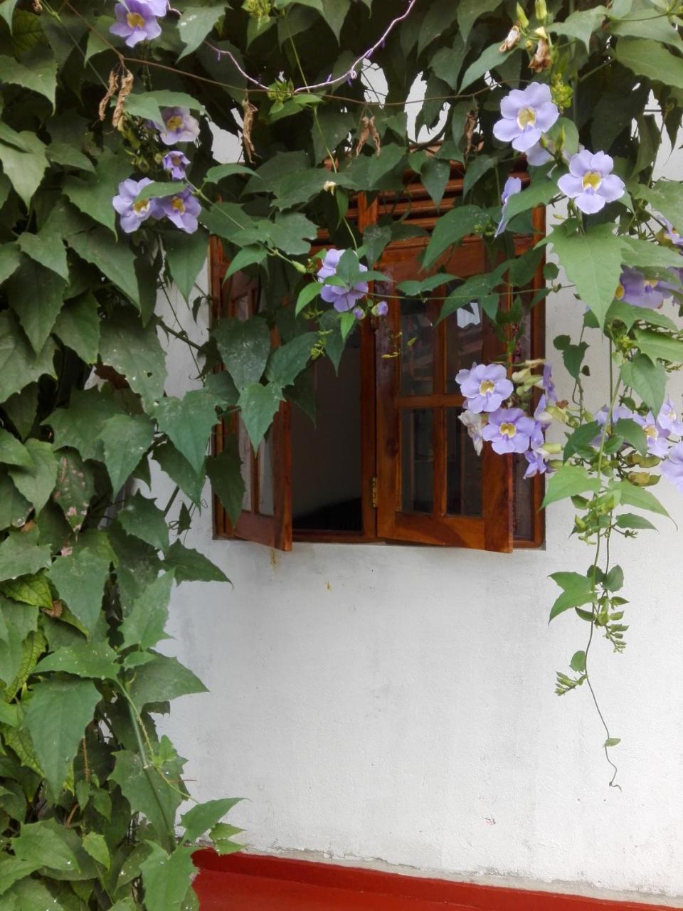 Ananda Home Stay And Restaurant Tangalle Kültér fotó